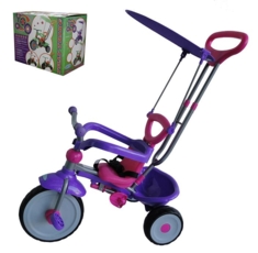 TT-2012 PINK+VIOLET
